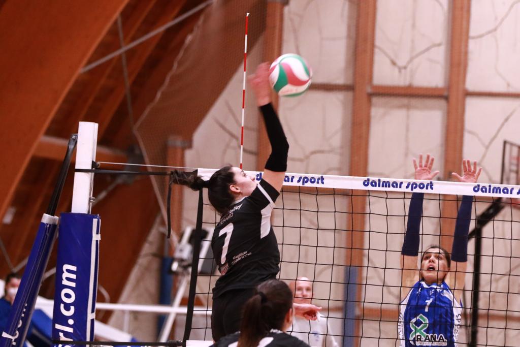 491dd878 dd6c 4177 8d97 e7bc74888324