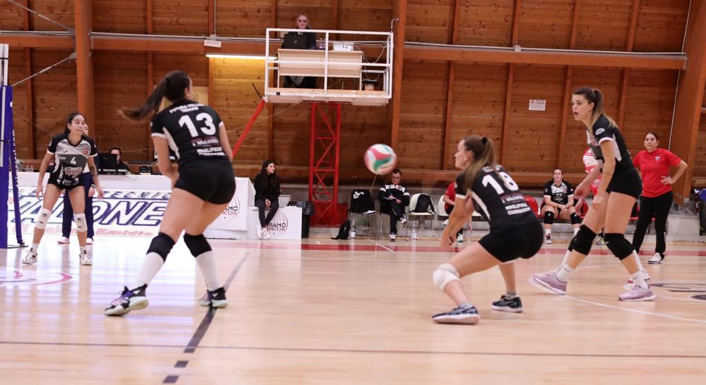 78a6ede4 cf1d 473d 813b 081f9a4fd32d