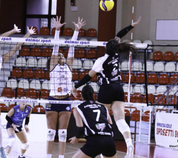FOTO0161 360x320