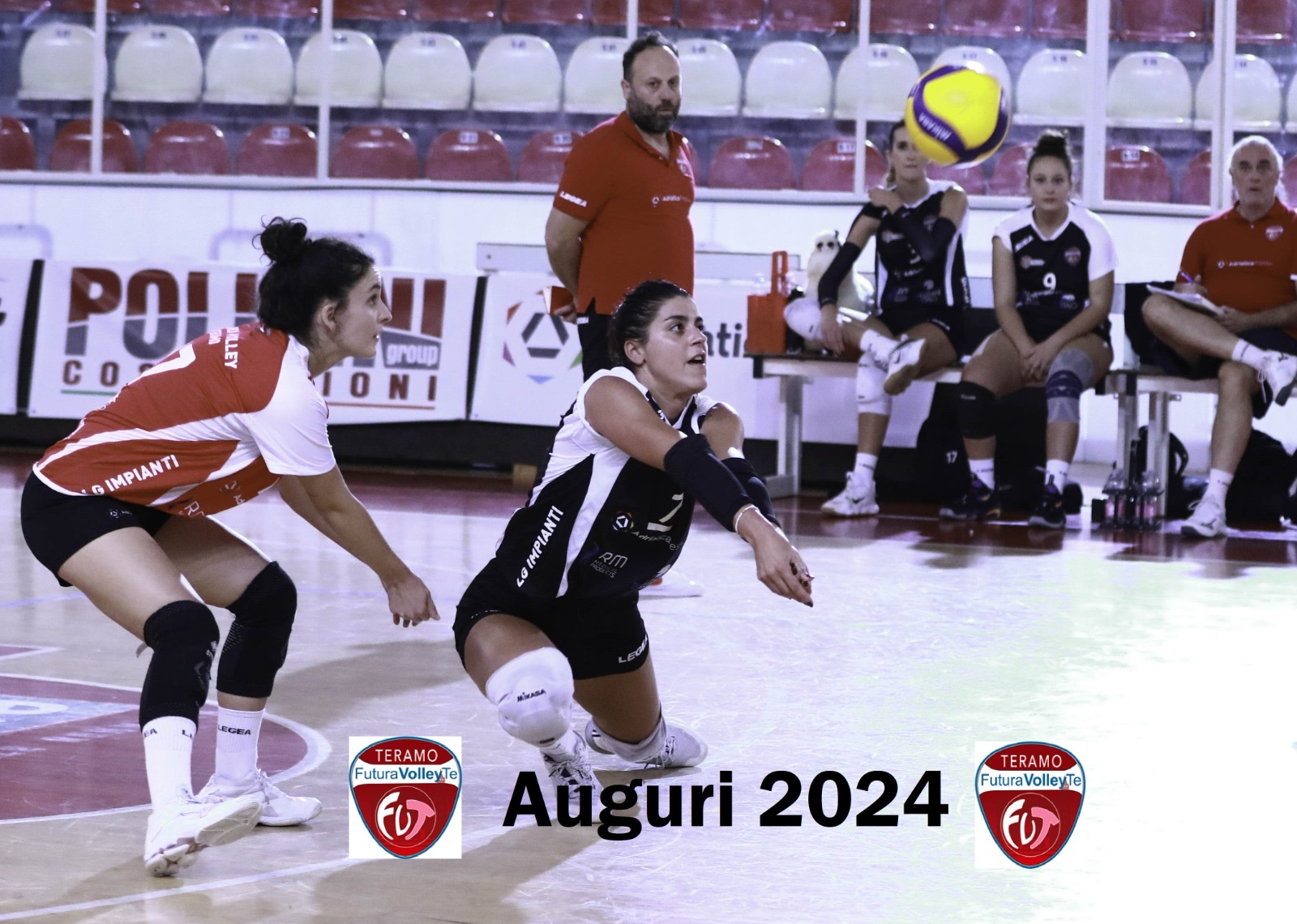 B429daa0 706d 410b ae5f 8e2a6075f4ff