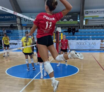 Sartore 360x320